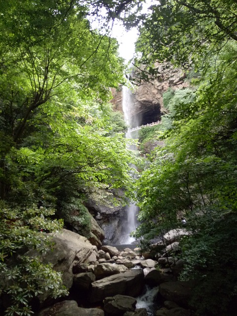 Free Landscape Natural photo and picture