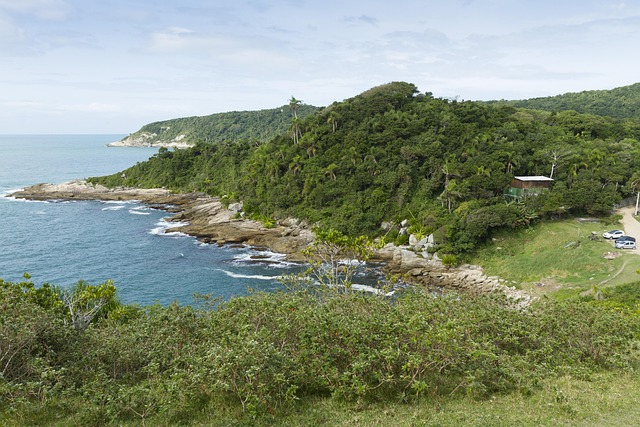Free Beach Landscape photo and picture