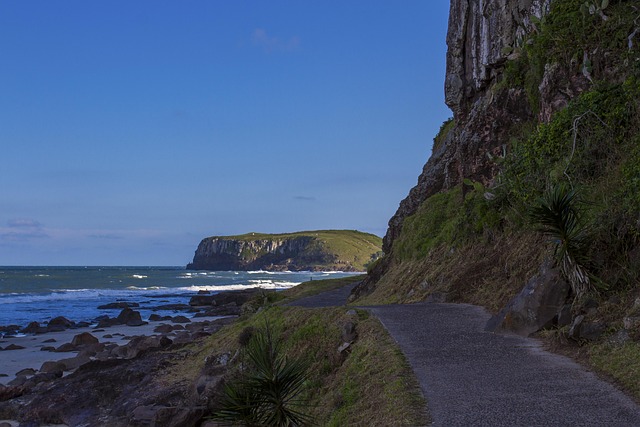 Free Beach Path photo and picture