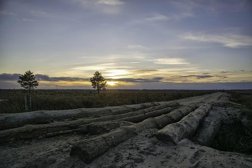 Free Journey Nature photo and picture