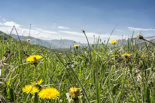 Free Carpathians Nature photo and picture