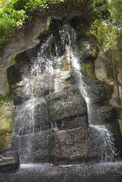 Free Waterfall Nature photo and picture