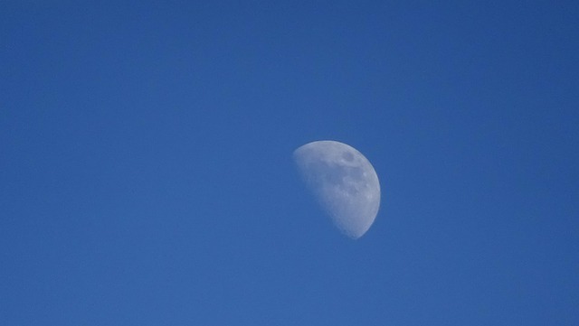 Free Moon Half photo and picture