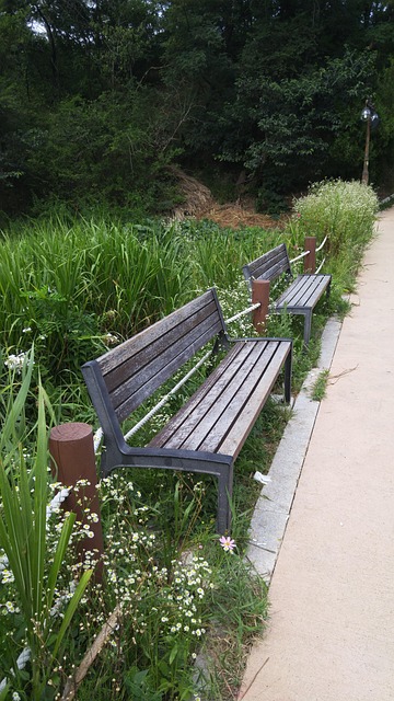 Free Bench Chair photo and picture