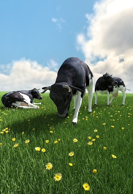 Free summer pasture cows illustration