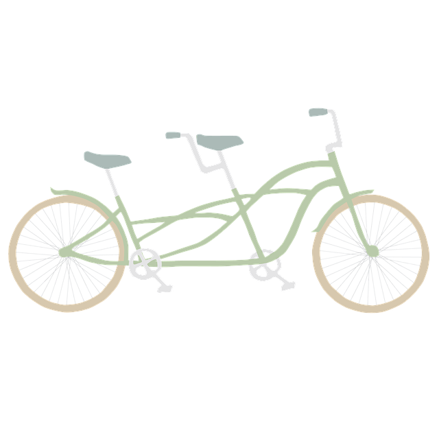 Free Bike Bicycle illustration and picture