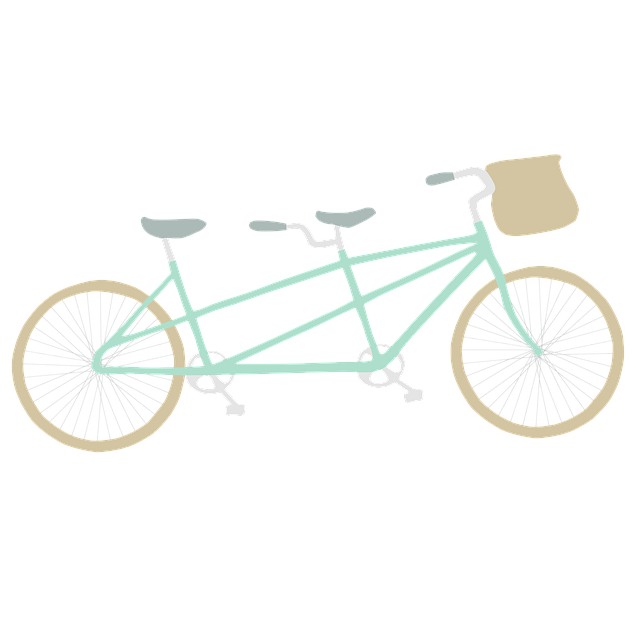 Free Bike Bicycle illustration and picture
