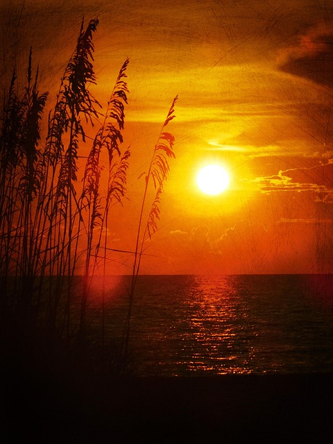 Free Sunset Evening photo and picture