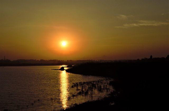 Free River Sun photo and picture