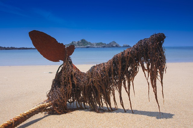 El Mar, Ancla, Playa, Paisaje