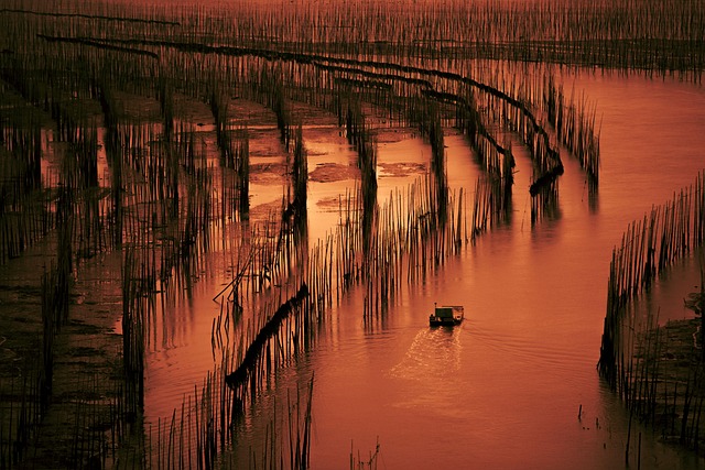 Xia Pu, Naturaleza, Playa