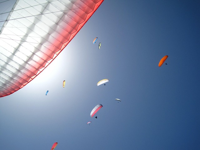 Free Paraglider Heaven photo and picture
