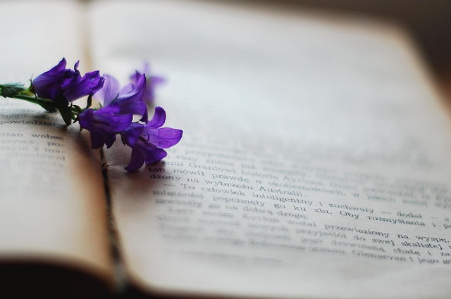 Free Book Beautiful Flowers photo and picture