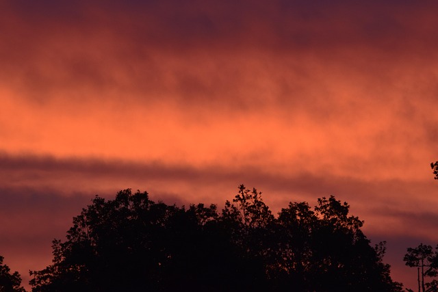 Free Solar Orange photo and picture