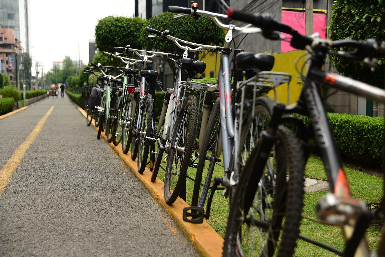 Fietsen, Rondleidingen, Toerisme