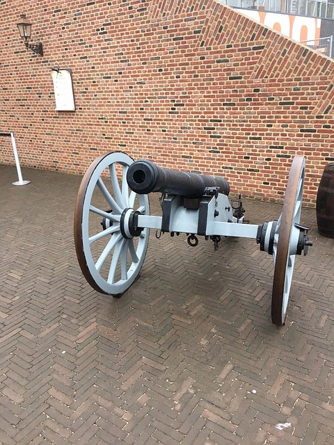 Free Canon Arms photo and picture