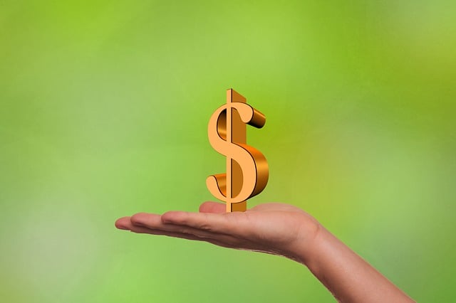 Free financing business dollar illustration
