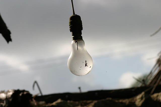 Bombilla, Negligencia, Creatividad