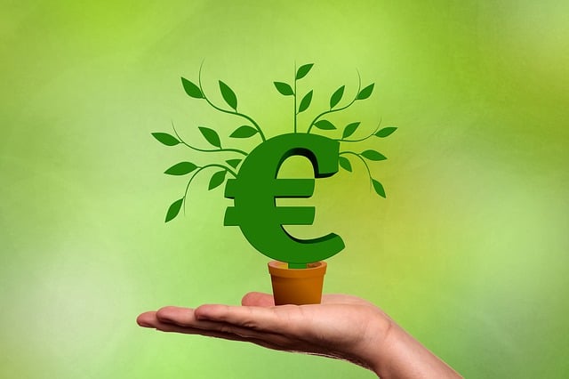 Free financing business euro illustration