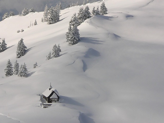 Free Snow Switzerland photo and picture