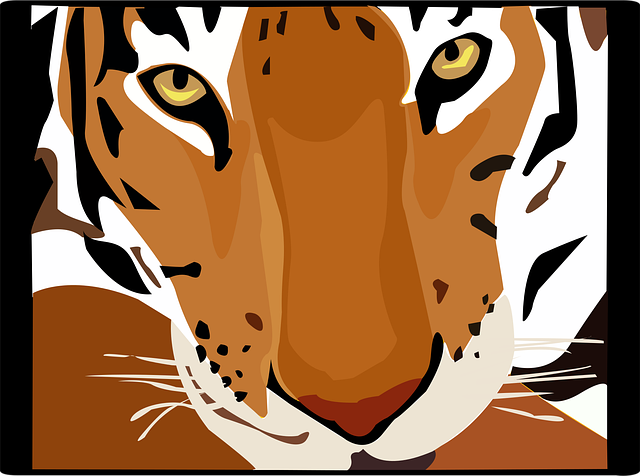 Download free HD stock image of Tiger Nature Free tiger nature forest vector