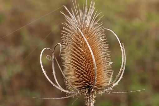 Free Card Spiral photo and picture