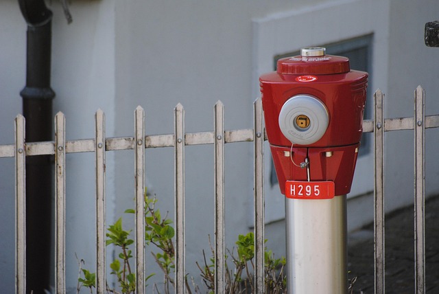 Free Hydrant Red photo and picture
