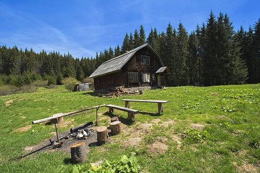 Free Glade Landscape photo and picture