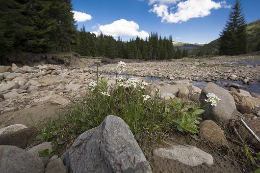 Free Carpathians Landscape photo and picture