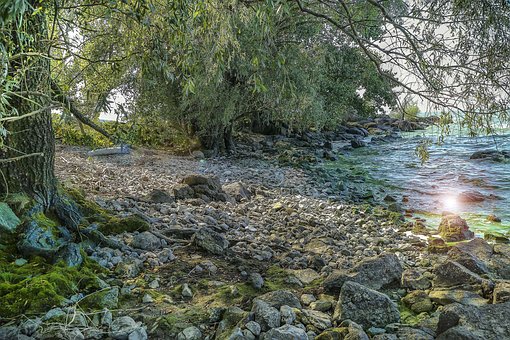 Free Landscape Nature photo and picture