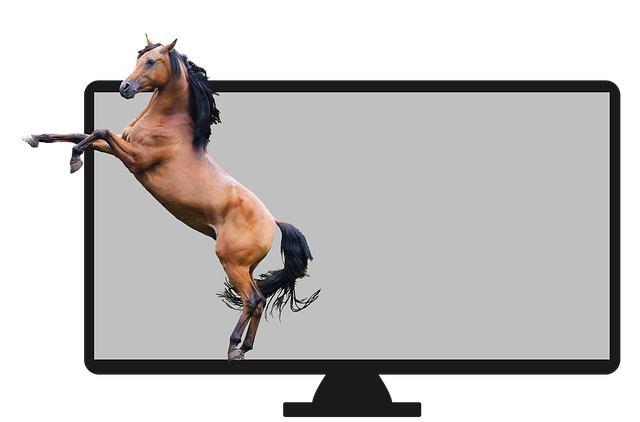 Free Horse Television illustration and picture