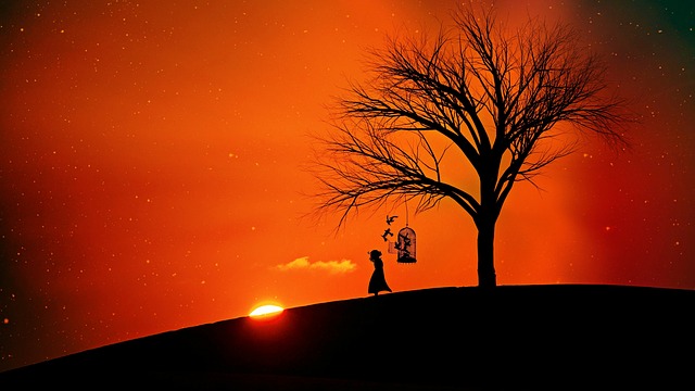 Free evening sun evening atmosphere romance illustration