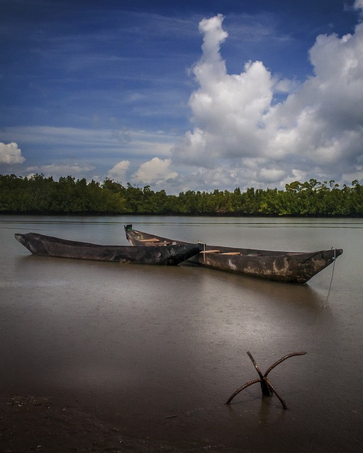 Gambia, Fluss, Boot