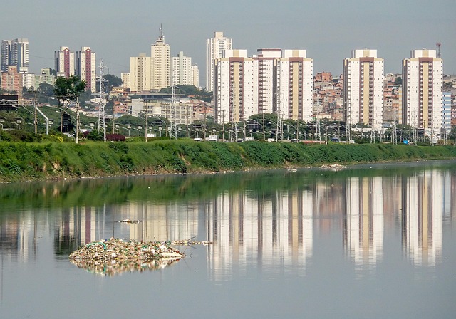 Free Garbage River Pines photo and picture