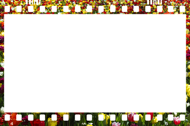 Free Photo Picture illustration and picture