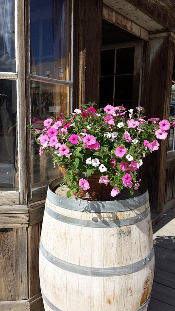 Fass, Blumen, Pinke Blumen, Veranda