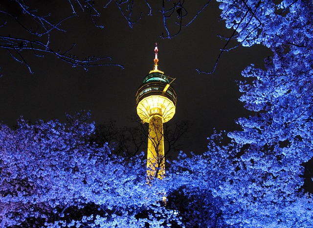 Free Tower Beoc Flowers photo and picture