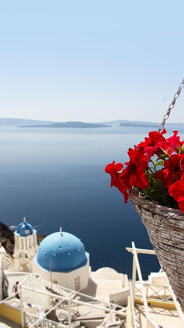 Free Sea Beautiful Flowers photo and picture
