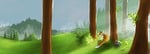 forest, fox, patience