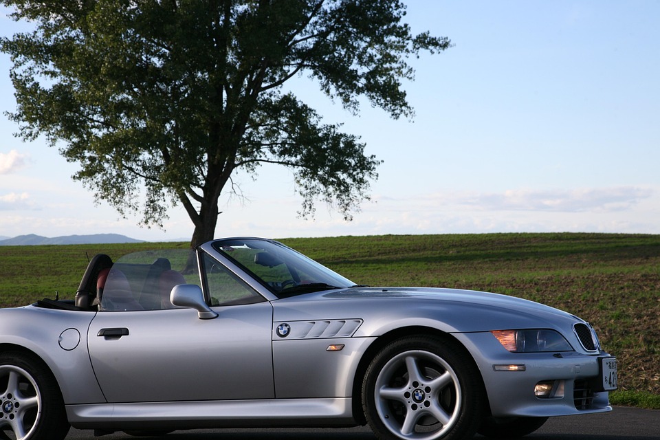 車, Bmw, 北海道, 哲学の木