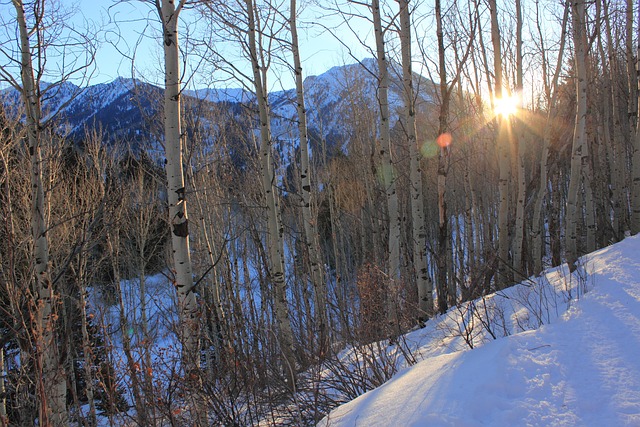 Free Big Cottonwood Canyon Utah photo and picture