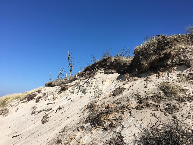 Free Beach Zingst photo and picture