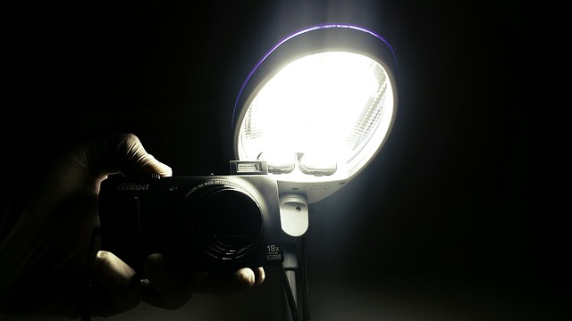 Free Light Truth photo and picture