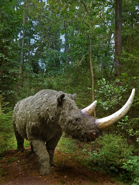 Coelodonta Antiquitatis, Dinosaurier