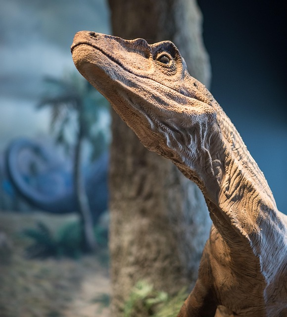 Dinosaurier, Nahaufnahme, Portrait, Kopf