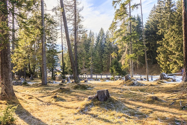 Free Hdr High Dynamic Range photo and picture