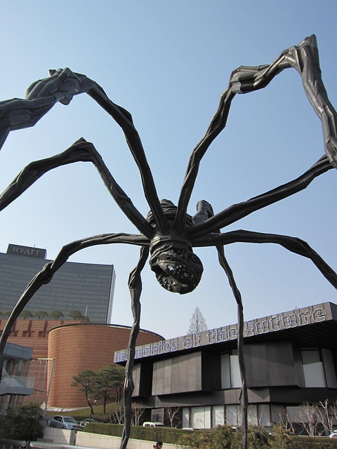 Free Spider Work photo and picture
