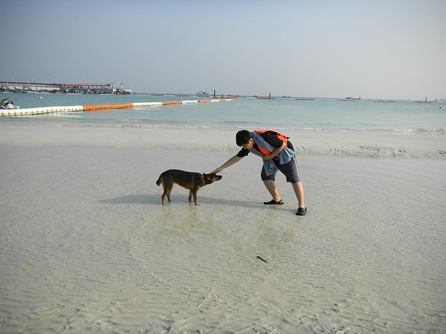 Free Ocean Sand photo and picture