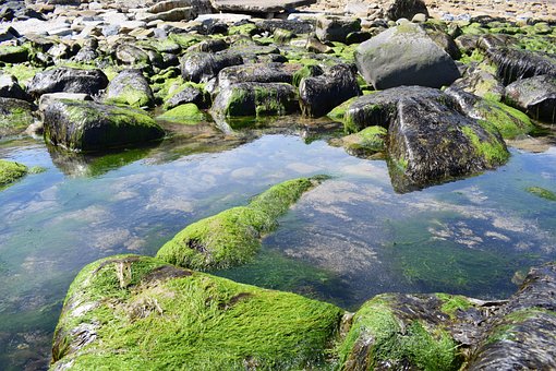Free Rocks Water photo and picture