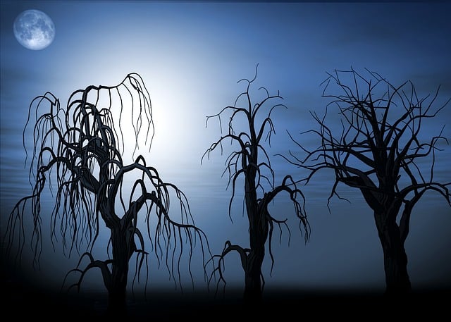 Free moon night tree illustration